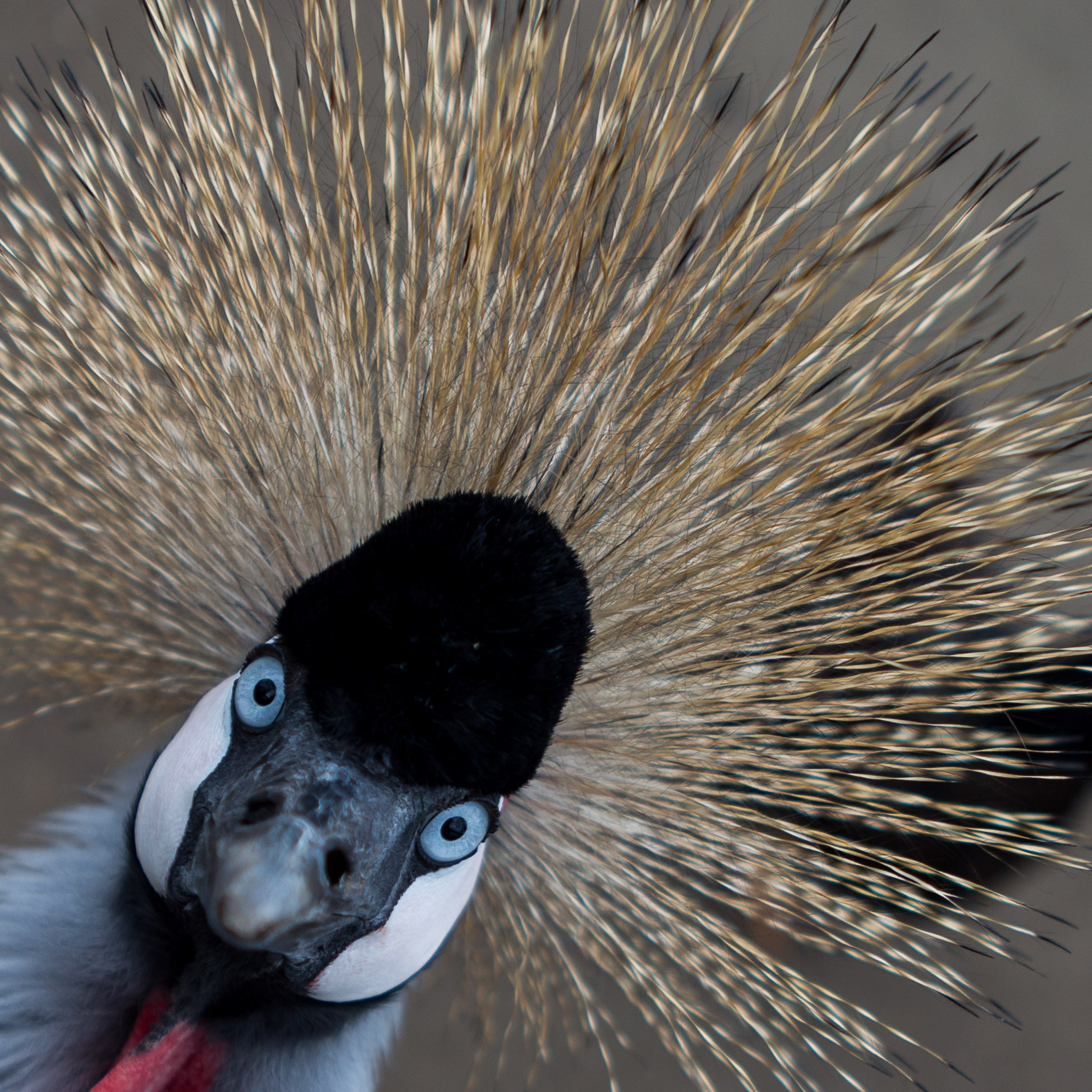 Inzending Michel de Koning