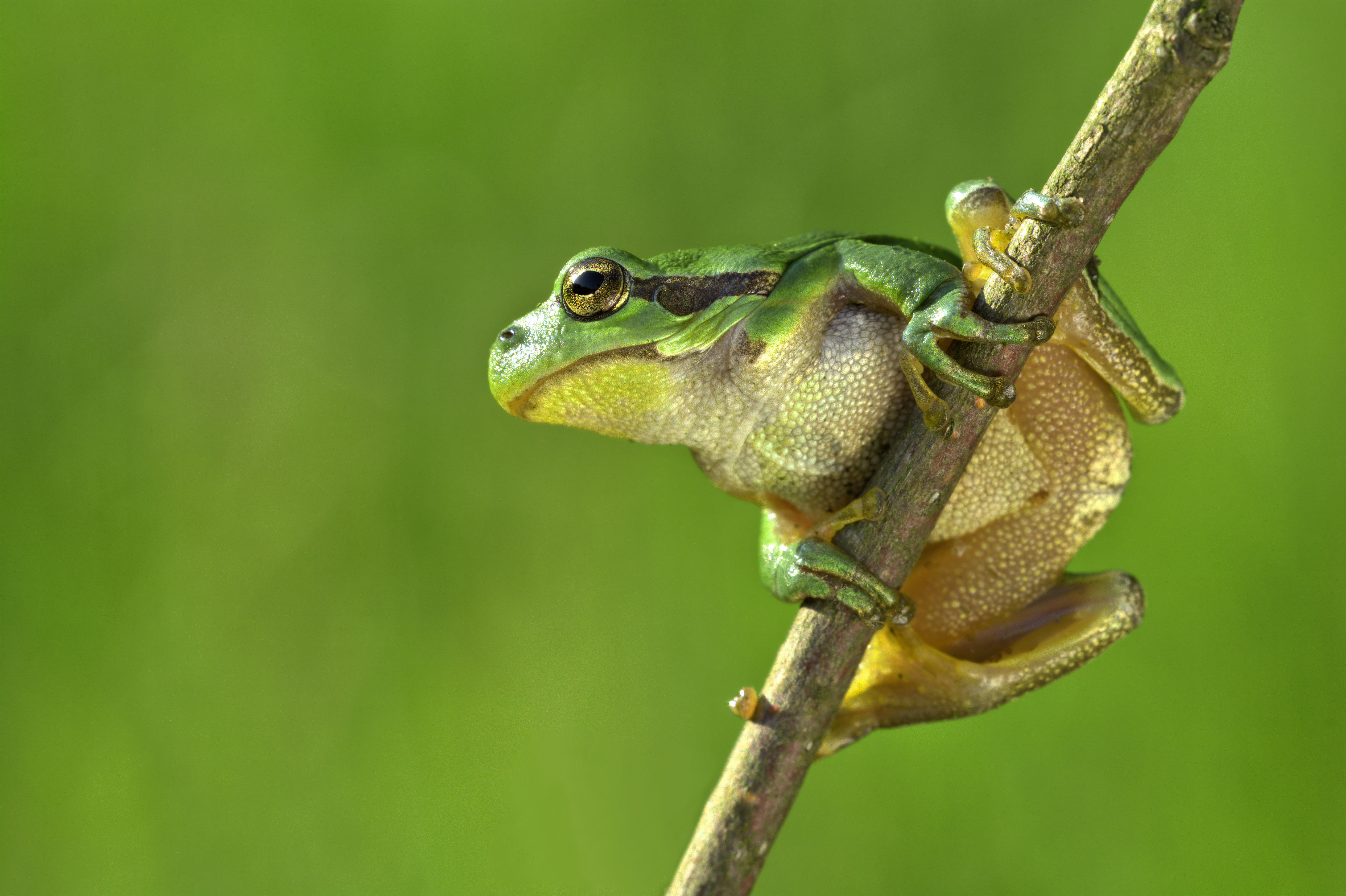 Inzending peter lindhout Inzending peter lindhout