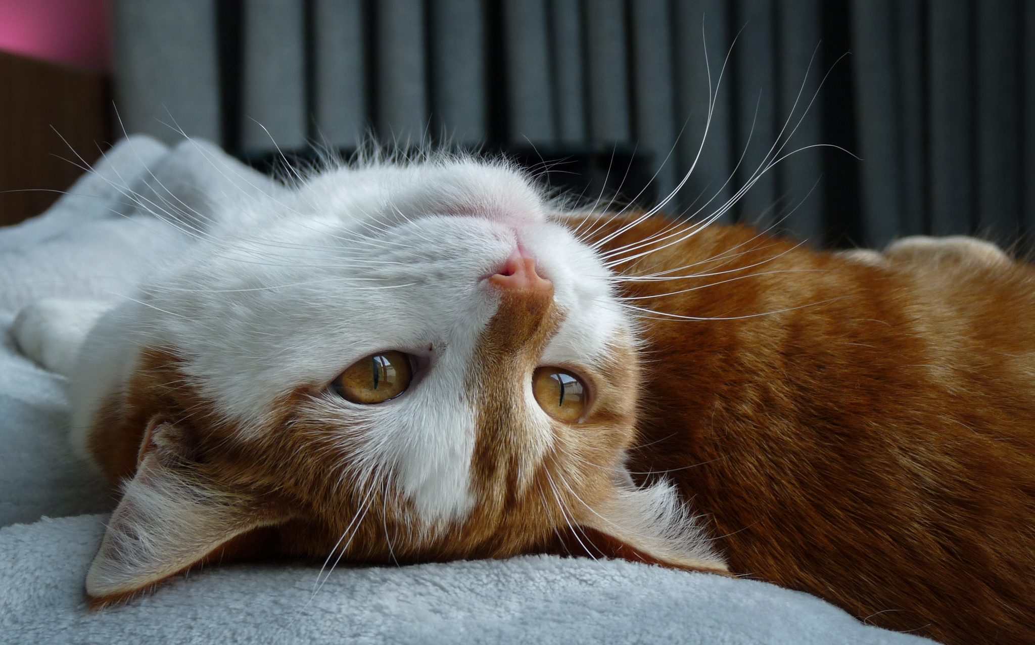 Inzending Anouk verbeeren