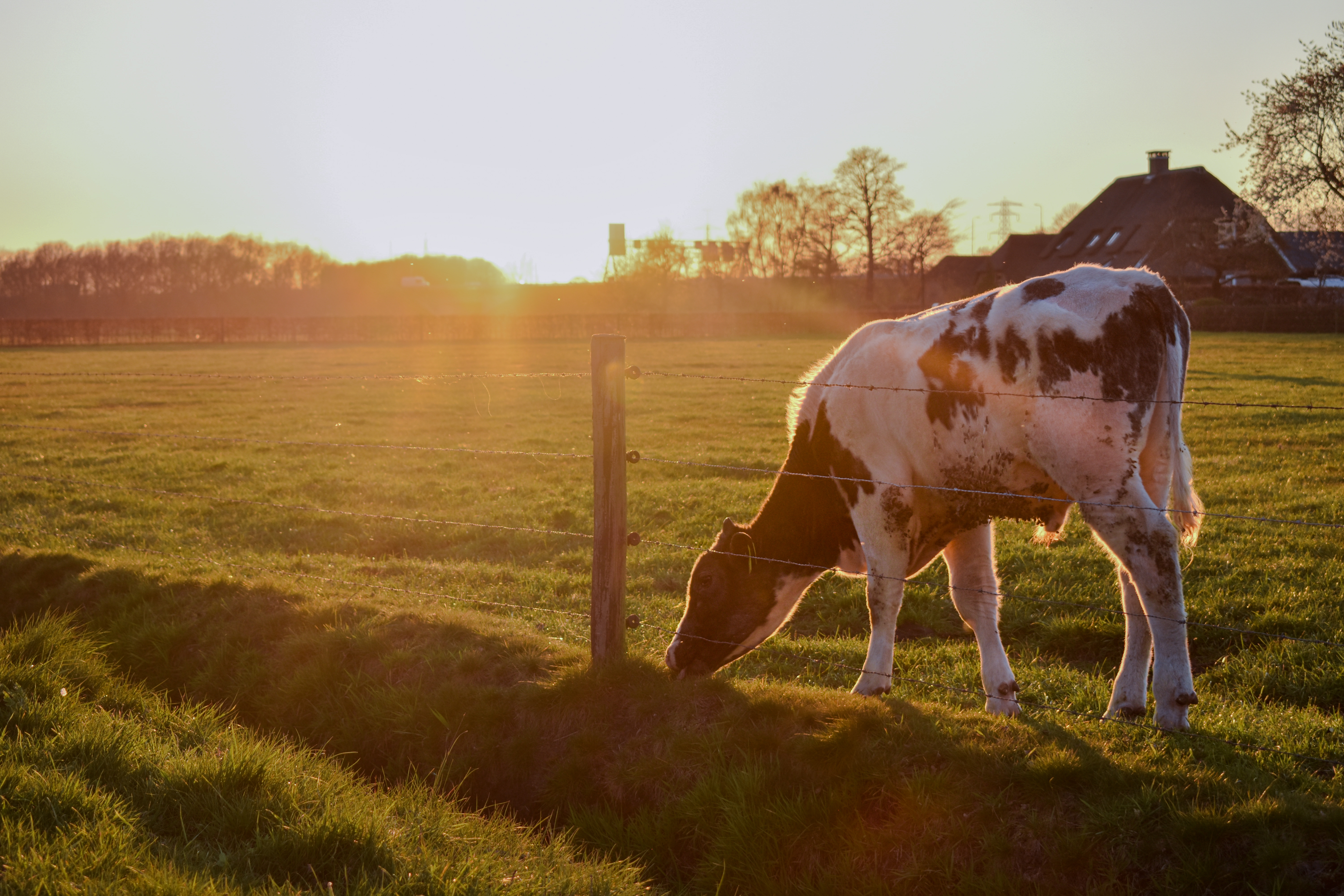 Inzending Hessel Mars Inzending Hessel Mars