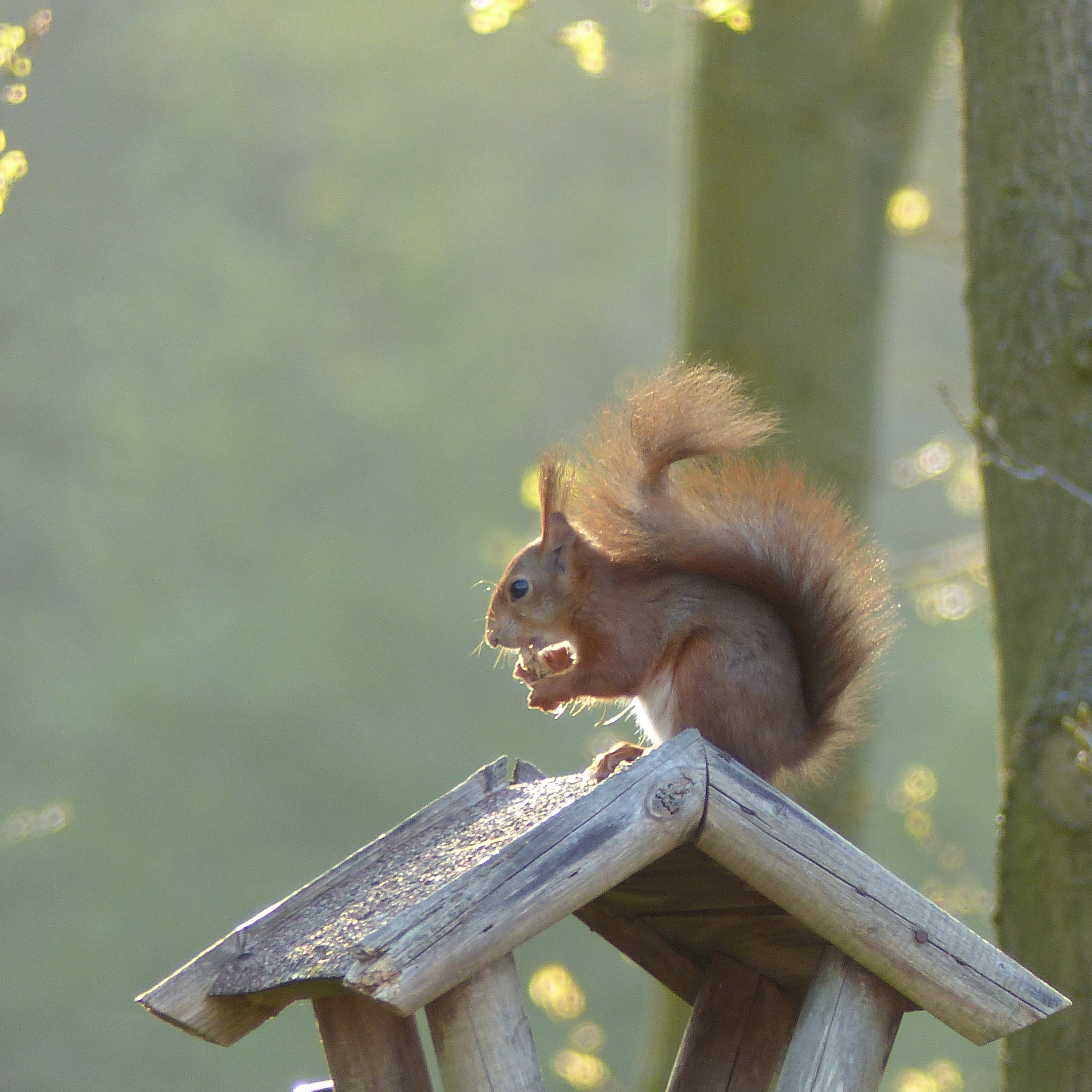 Inzending Linda van Oorschot Inzending Linda van Oorschot