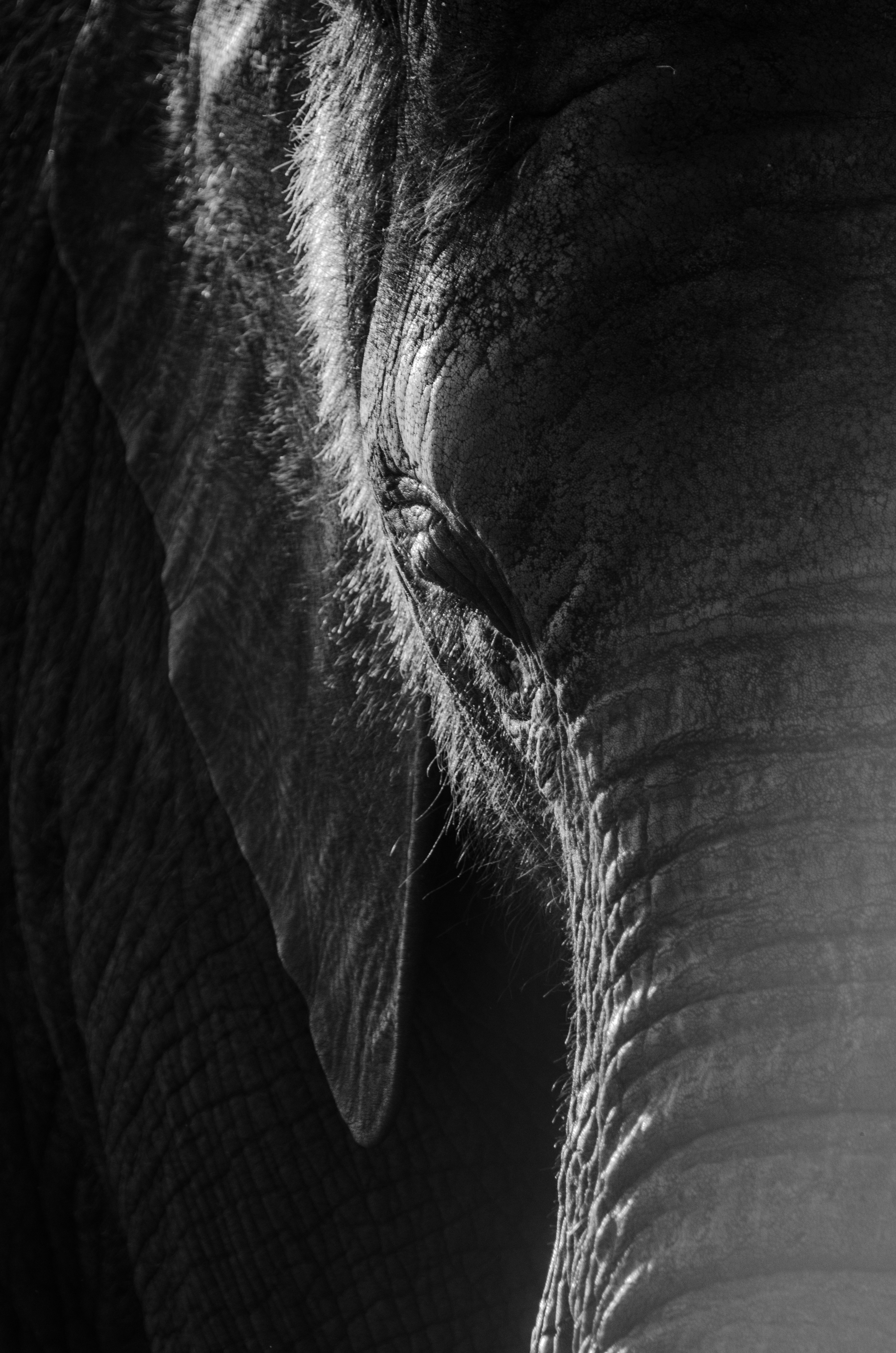 Inzending Max van Dijk Inzending Max van Dijk