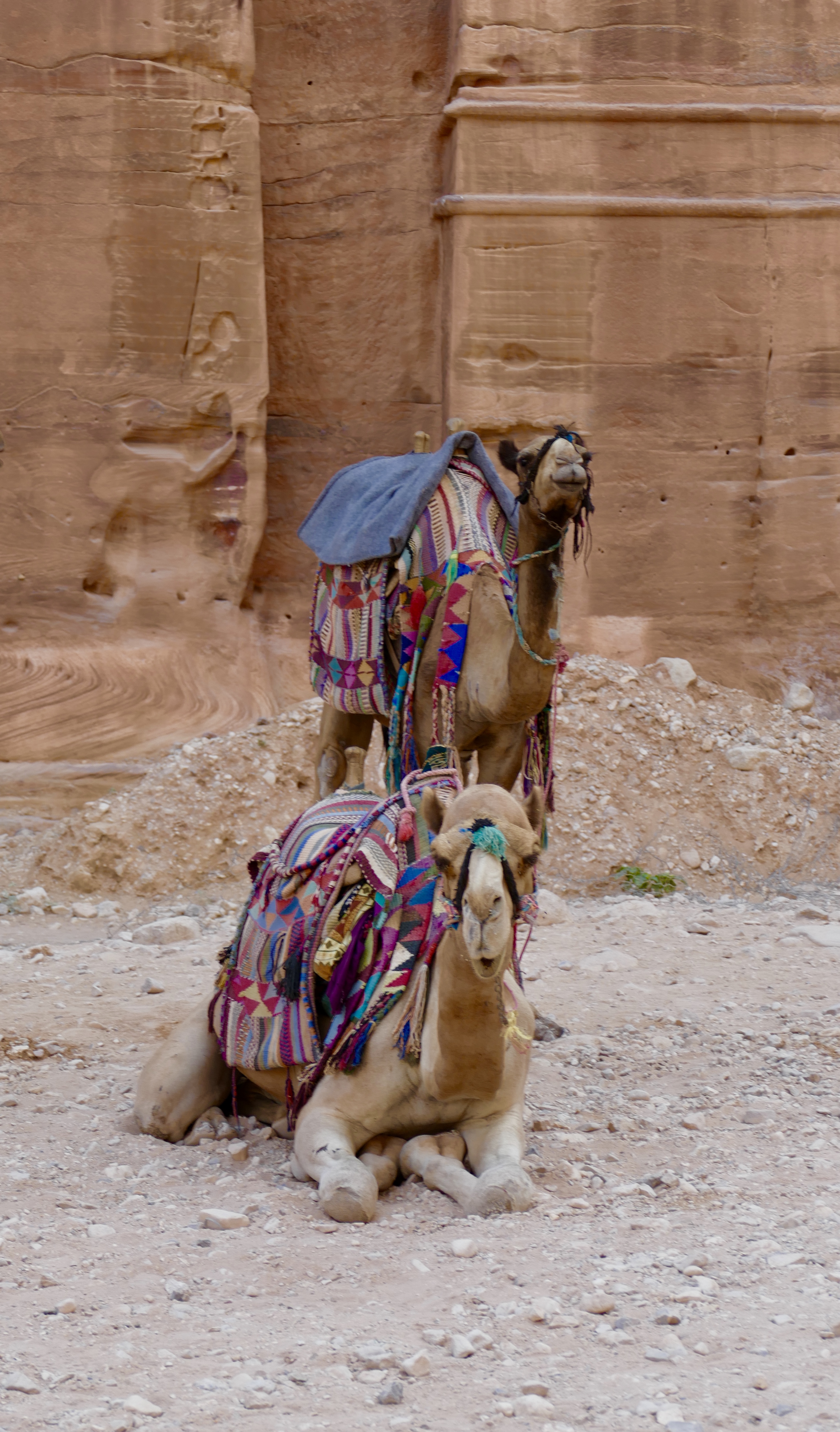 Inzending Nancy van den Breevaart 