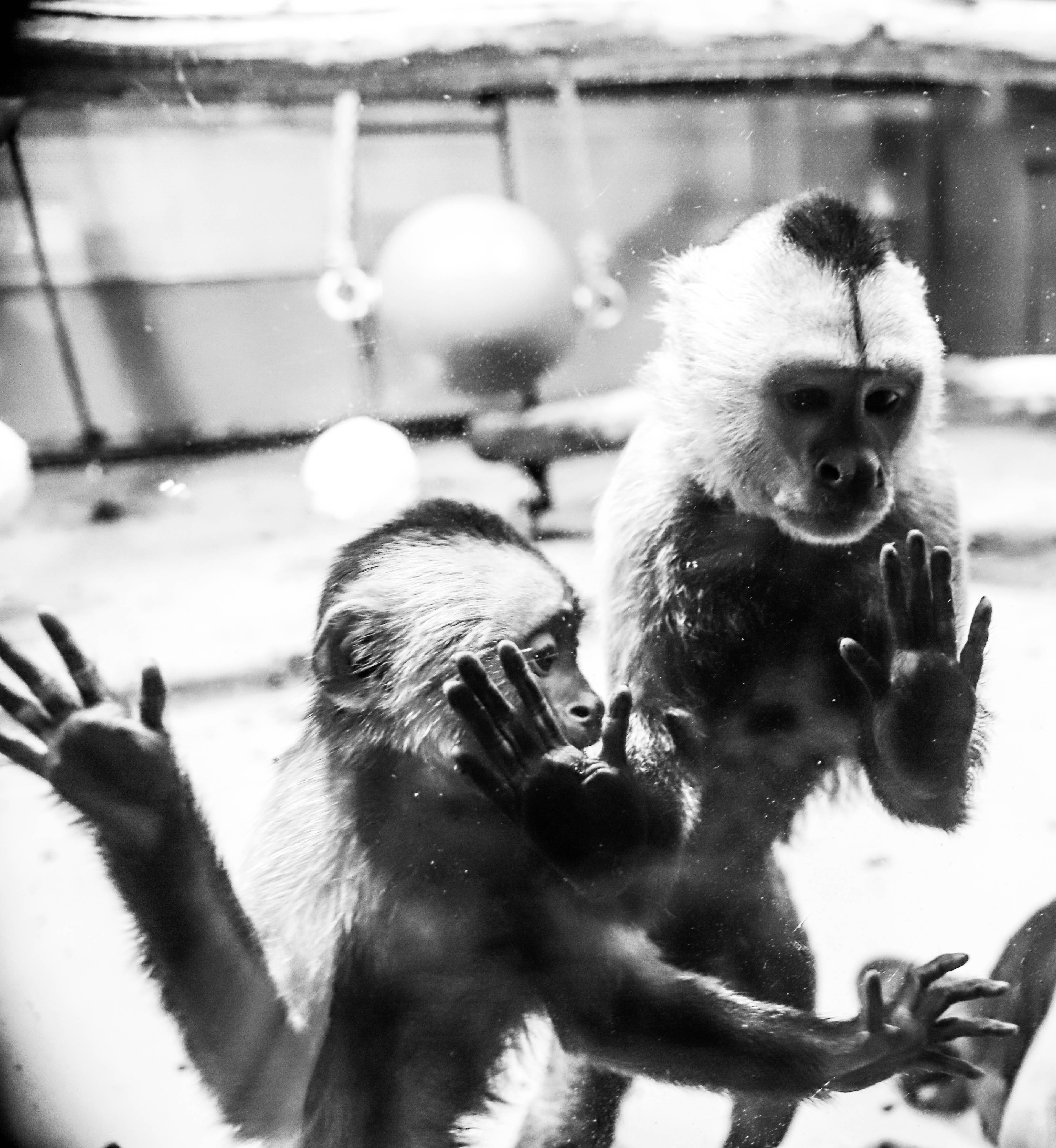 Inzending Nienke Eijs Inzending Nienke Eijs