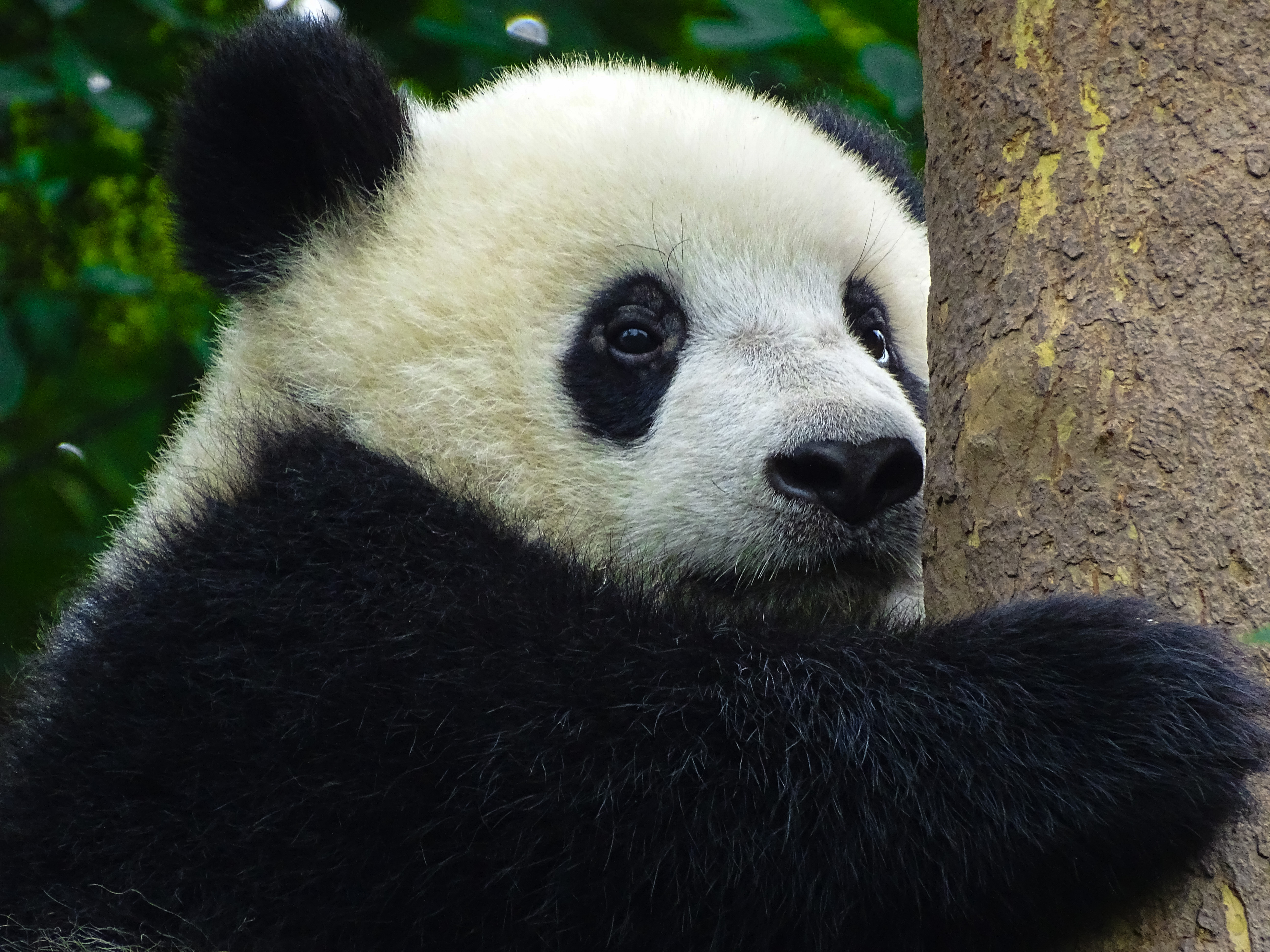 Inzending Sarah Vriesacker