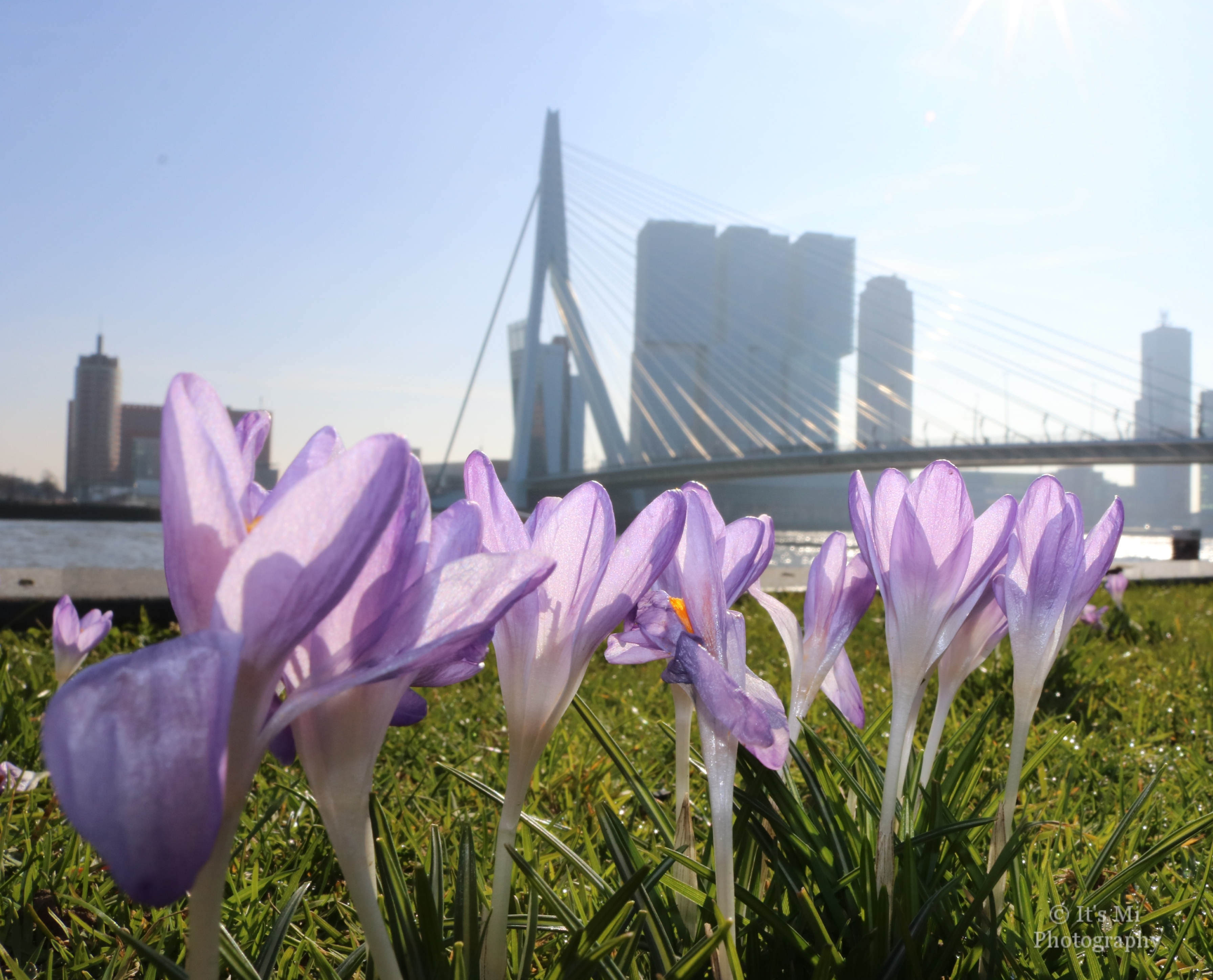 Inzending Miranda van der Reijden 