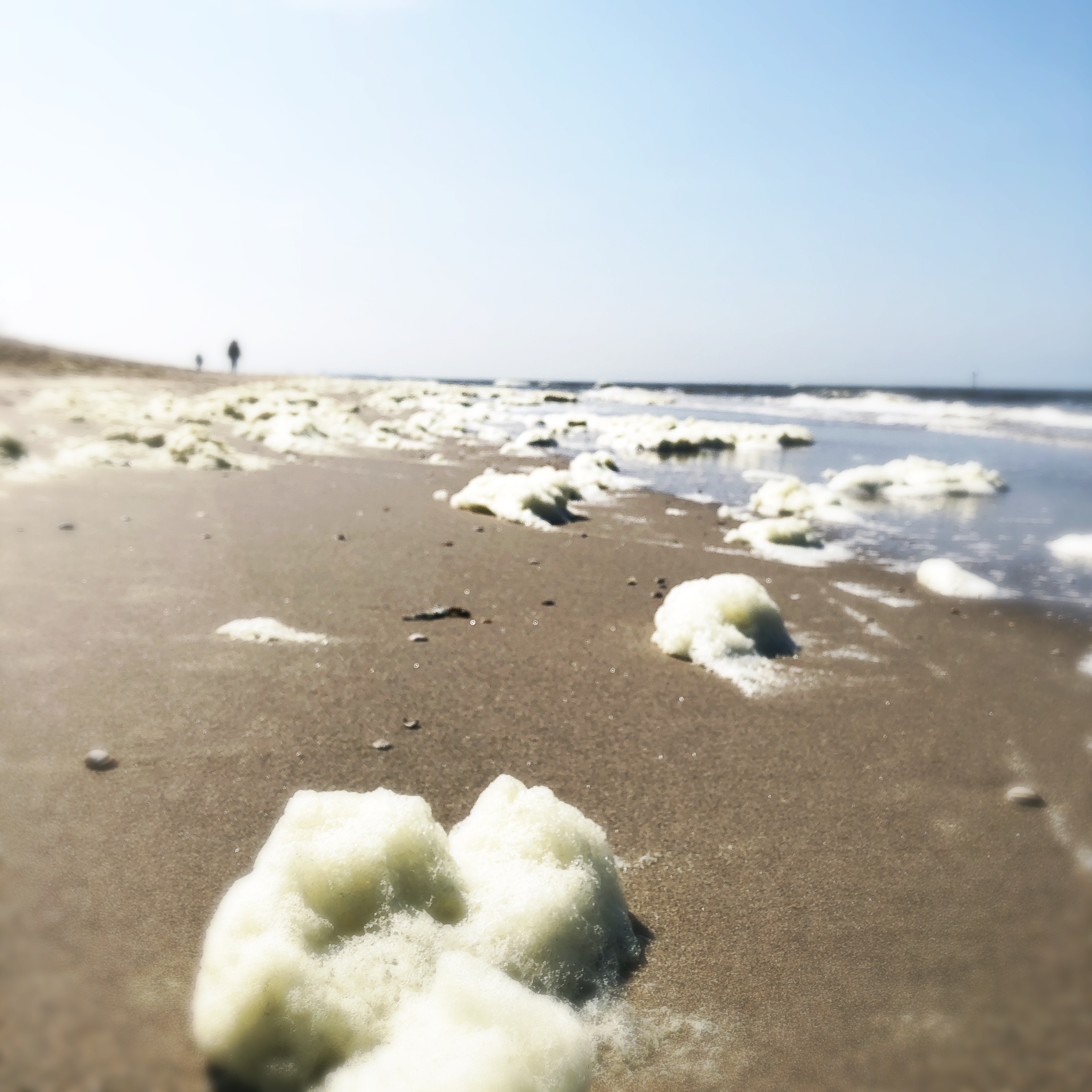 Inzending Nanda Sanders