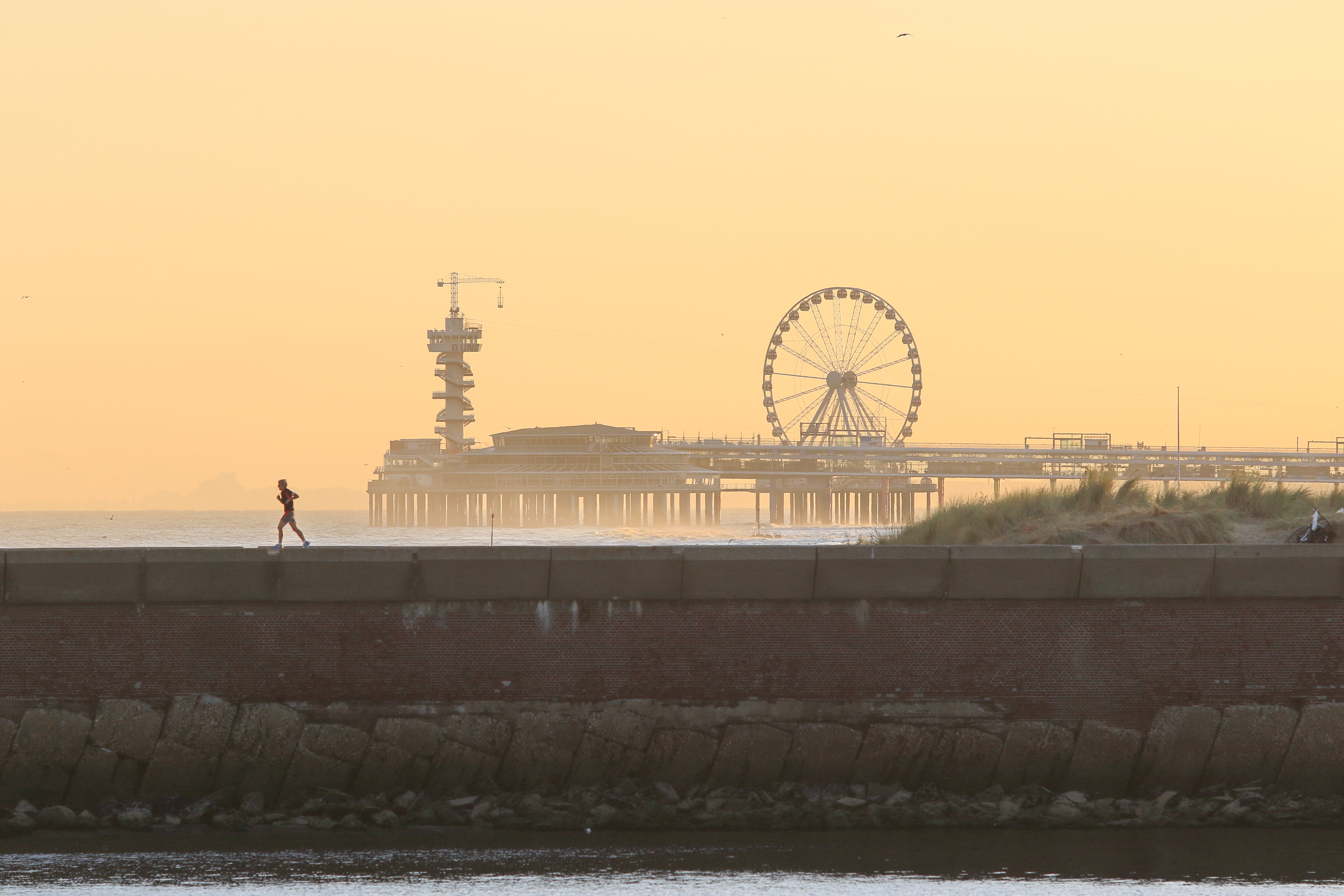 Inzending micky bish