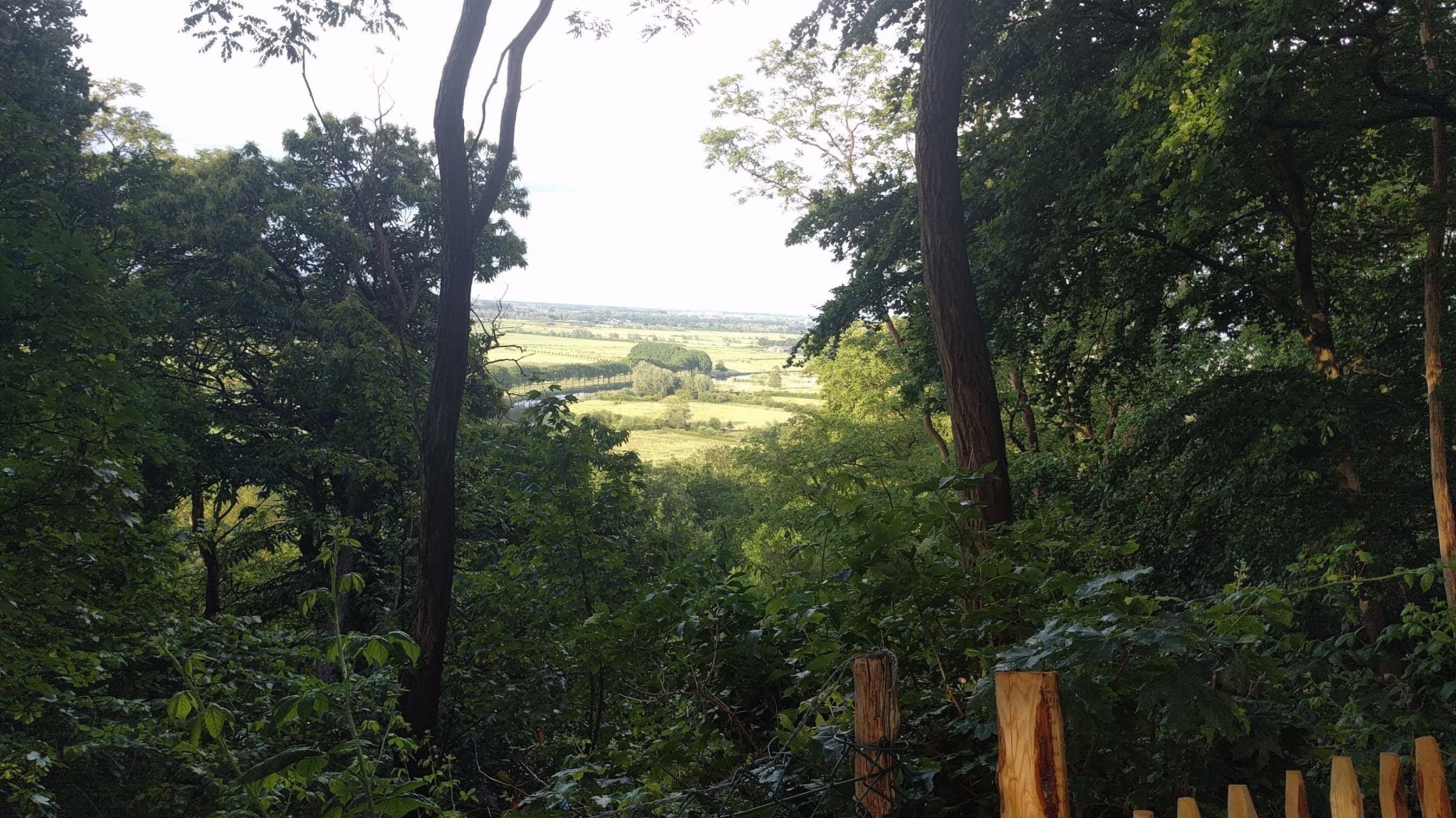 Inzending Rachel Melchels Inzending Rachel Melchels