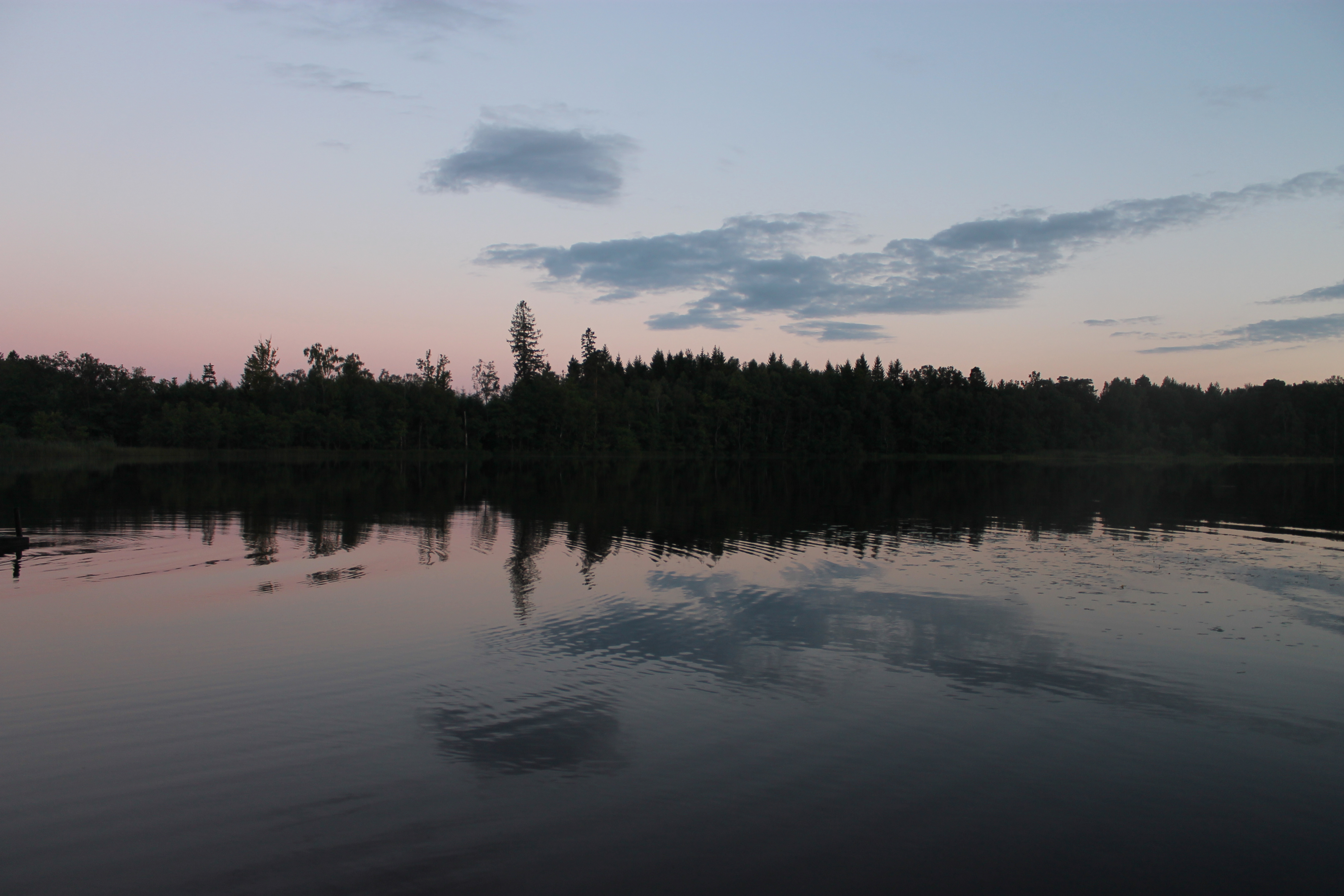Inzending Famke de Jong