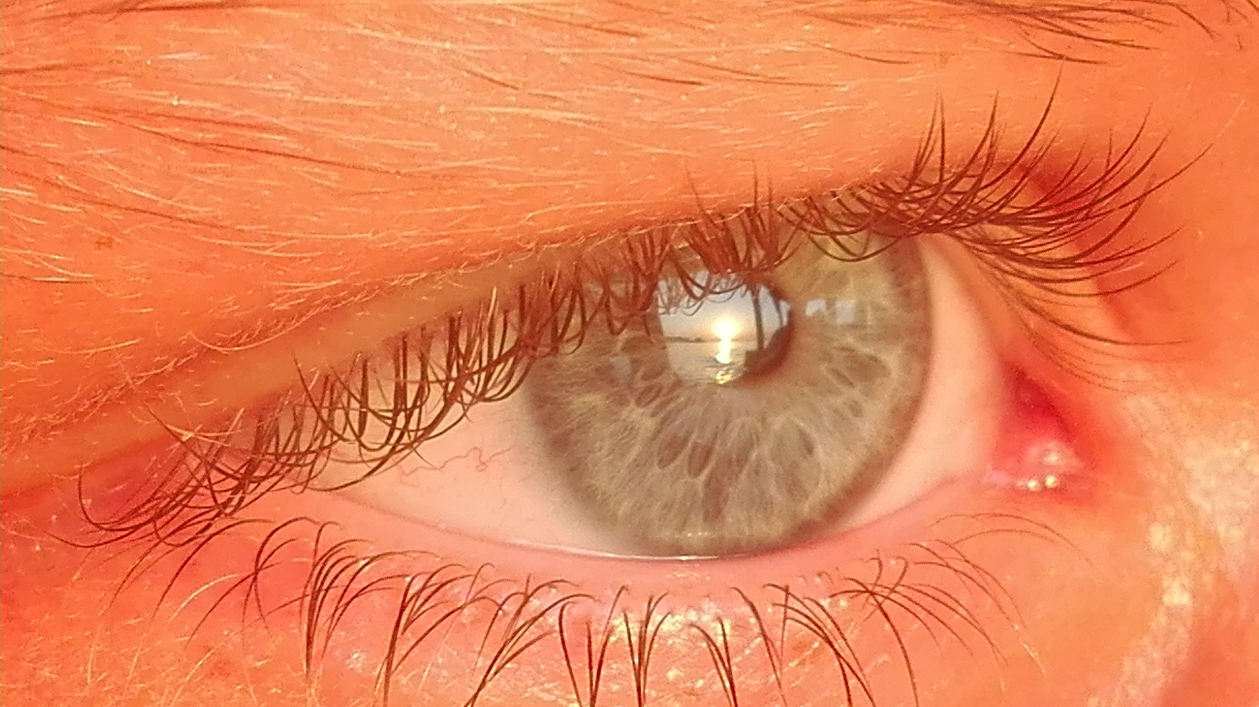 Inzending Jacqueline Verhulst