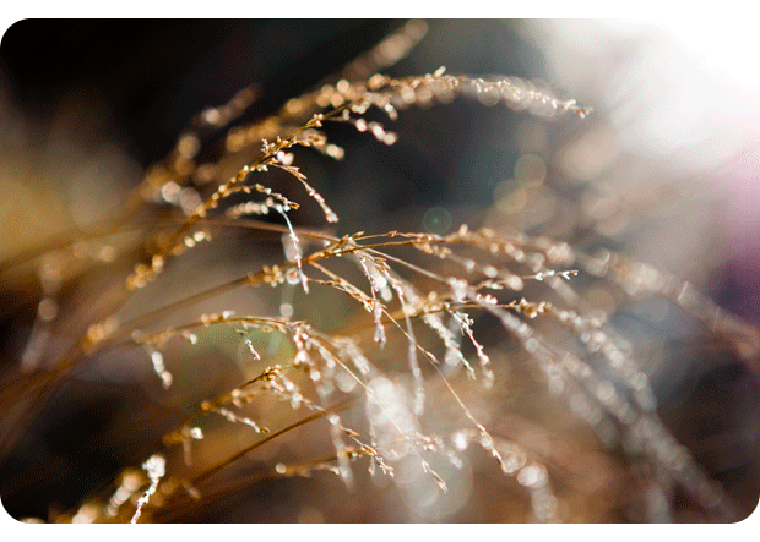 afgeronde hoeken in Photoshop