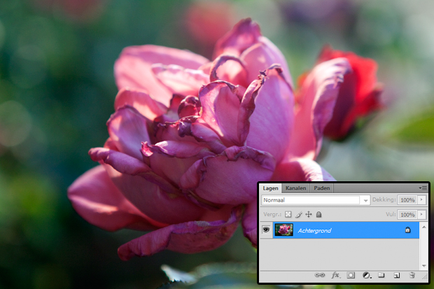 FF_tutorial_fotometquote_01