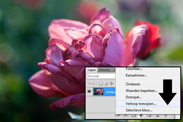 FF_tutorial_fotometquote_02
