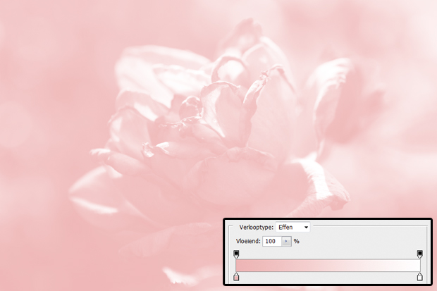 FF_tutorial_fotometquote_03