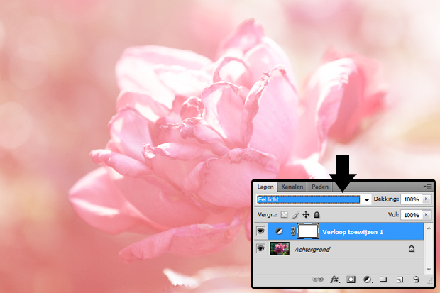FF_tutorial_fotometquote_04