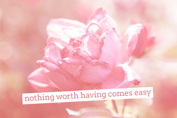 FF_tutorial_fotometquote_06