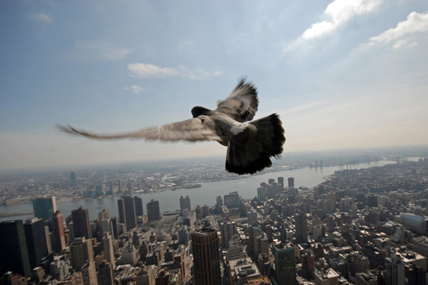 FF_fotowedstrijd-5_uitzicht_Peter