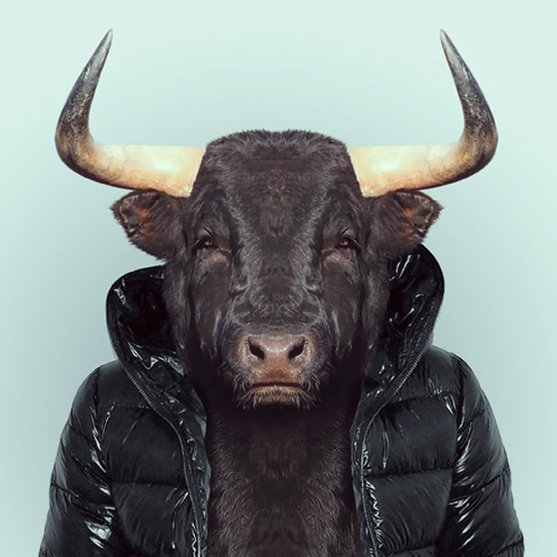 FF_YagoPartal_animals_02