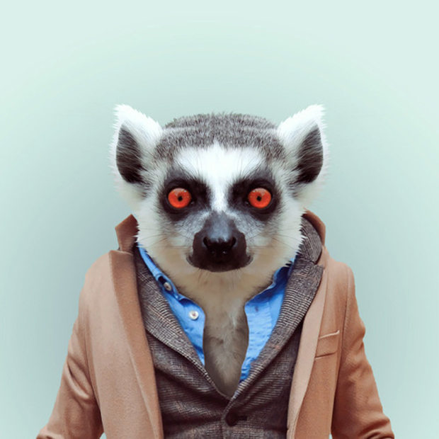 FF_YagoPartal_animals_03