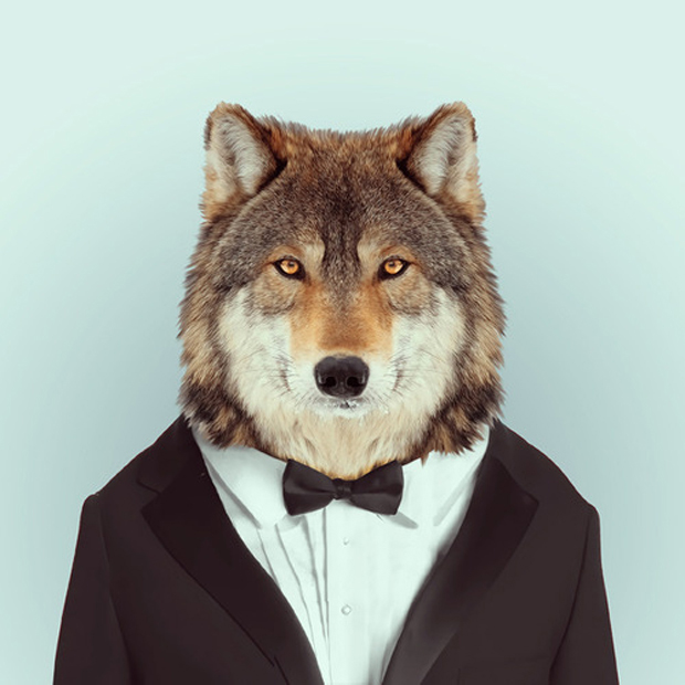 FF_YagoPartal_animals_05