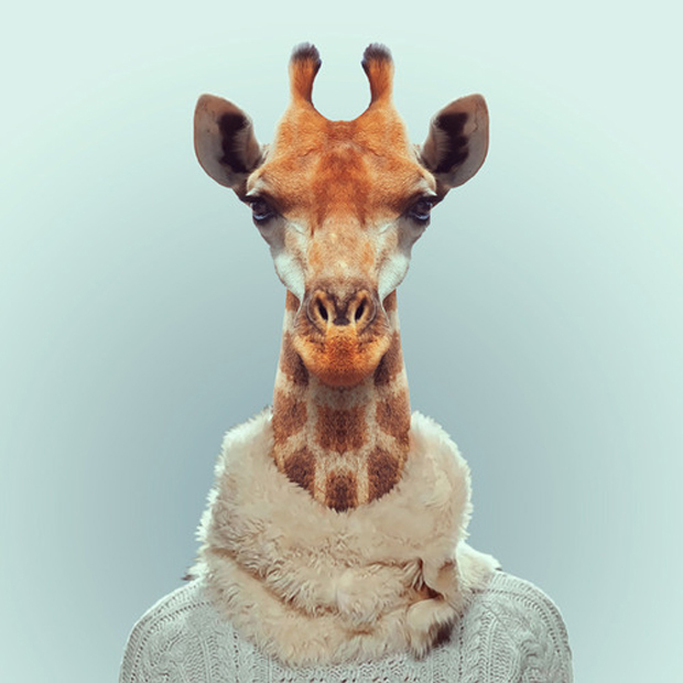 FF_YagoPartal_animals_06