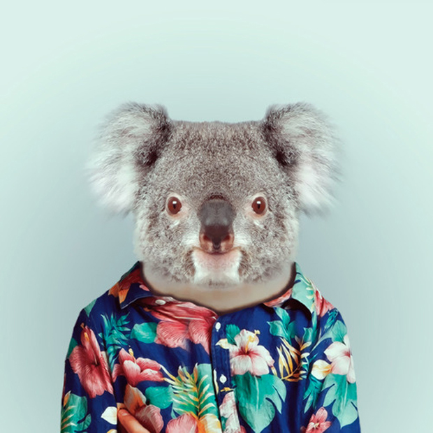 FF_YagoPartal_animals_07