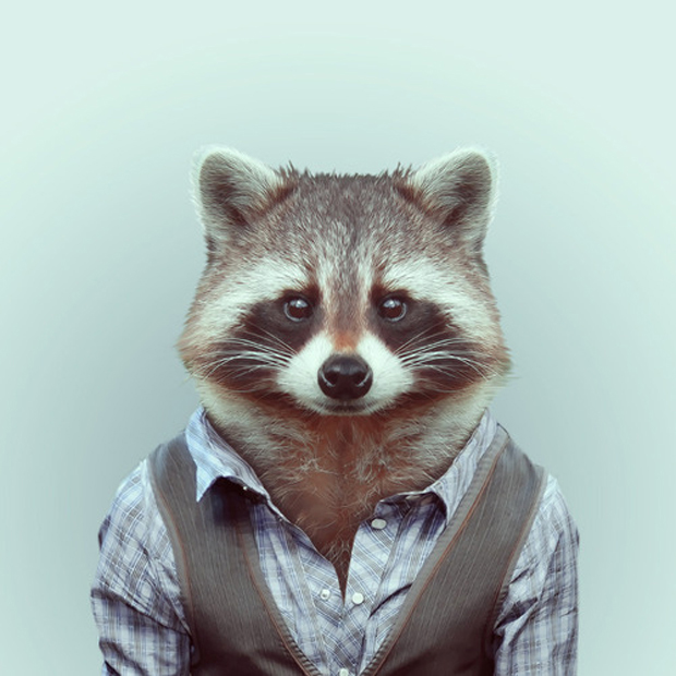 FF_YagoPartal_animals_08