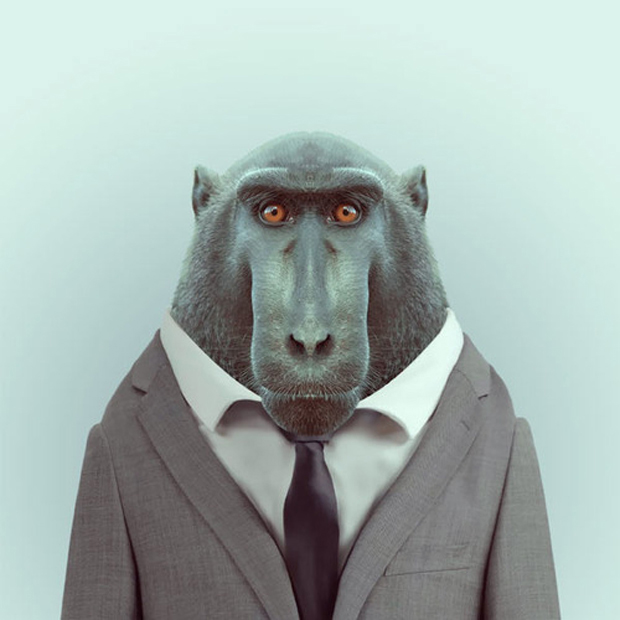 FF_YagoPartal_animals_09