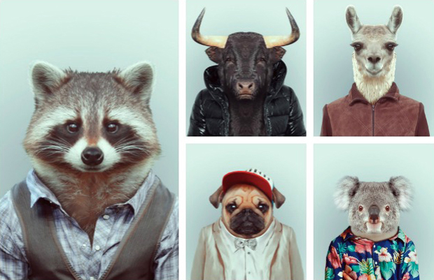 FF_YagoPartal_animals_1