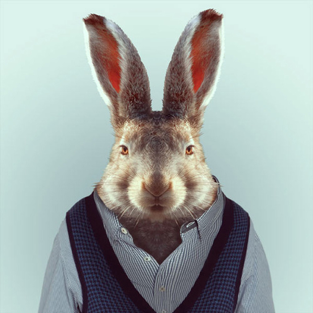 FF_YagoPartal_animals_10