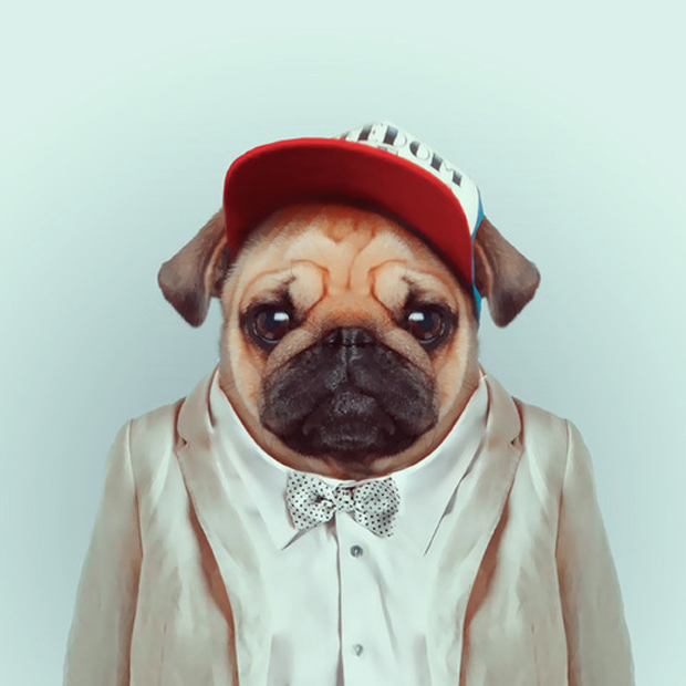 FF_YagoPartal_animals_13