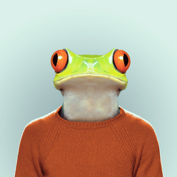 FF_YagoPartal_animals_14