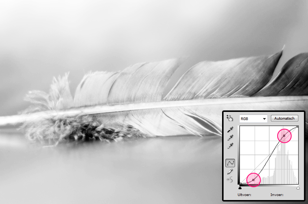 FF_tutorial_hoog-en-laag-contrast-photoshop_02