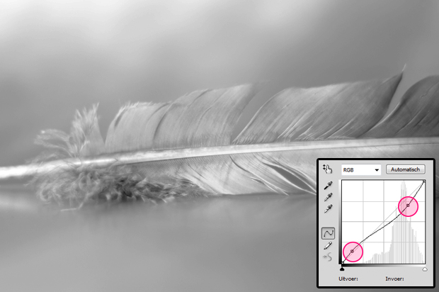 FF_tutorial_hoog-en-laag-contrast-photoshop_04
