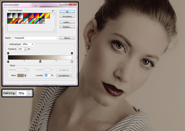 FF_tutorial_sepia-ruis_05