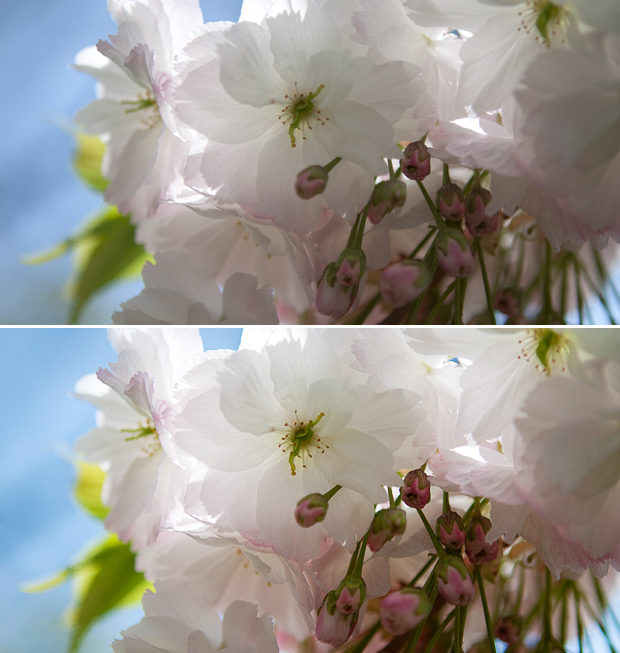 FF_tutorial_foto_kleuren-levendigheid