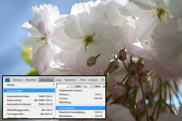 FF_tutorial_foto_kleuren-levendigheid_02