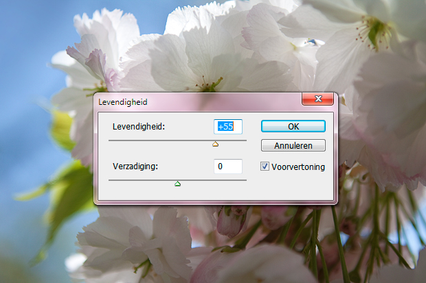FF_tutorial_foto_kleuren-levendigheid_03