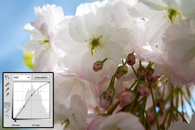 FF_tutorial_foto_kleuren-levendigheid_05