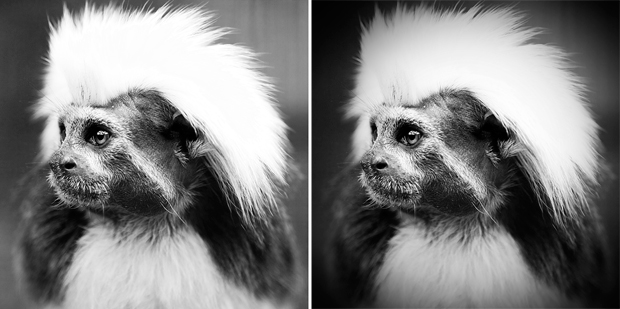 FF_tutorial_vignette_photoshop_01