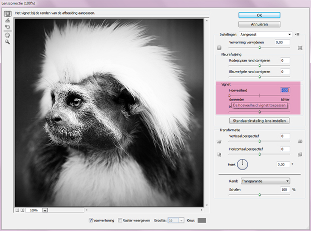 FF_tutorial_vignette_photoshop_04