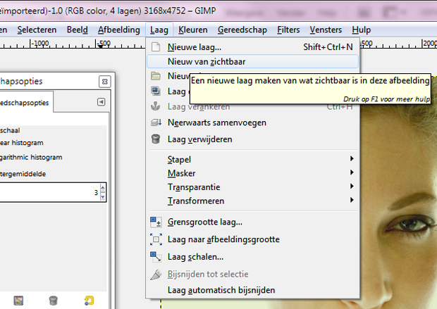 FF_tutorial_GIMP_portret-bewerken_08