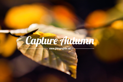 FF_bureaublad-achtergrond_wallpaper_photography_03-thumb