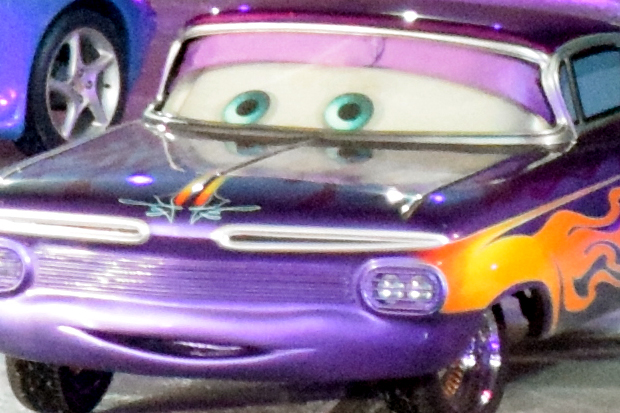 DSC_0008_detail