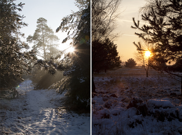 fotograferen in de sneeuw