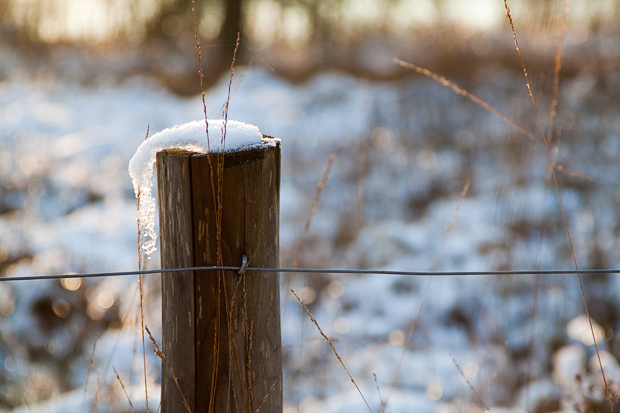 fotograferen in de sneeuw