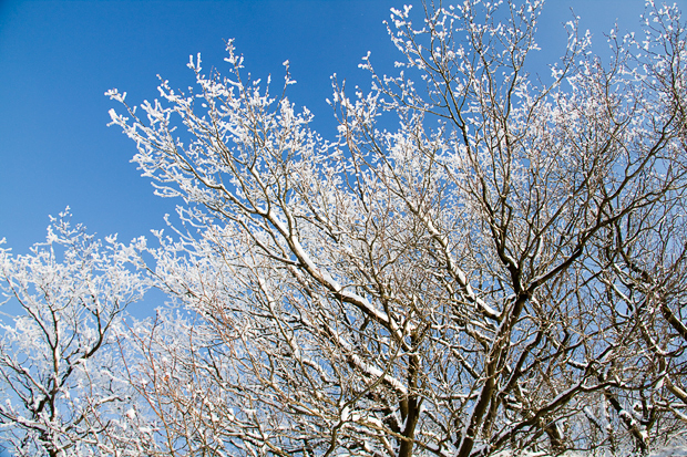 sneeuw fotograferen tips
