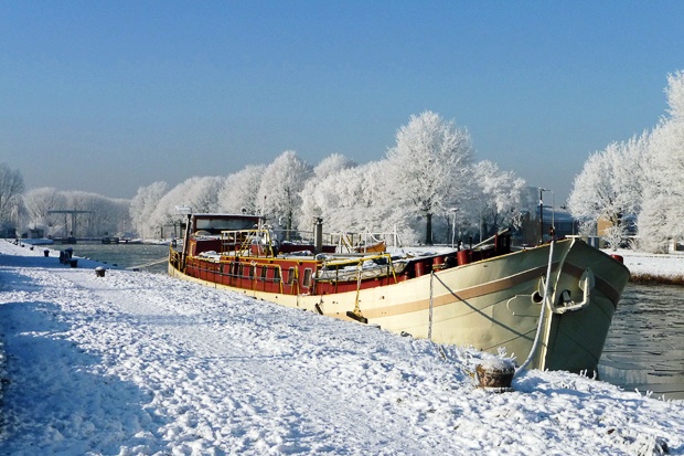 fotograferen in de sneeuw