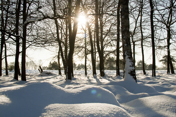 FF_Fotografie_tips_sneeuw_winter_07
